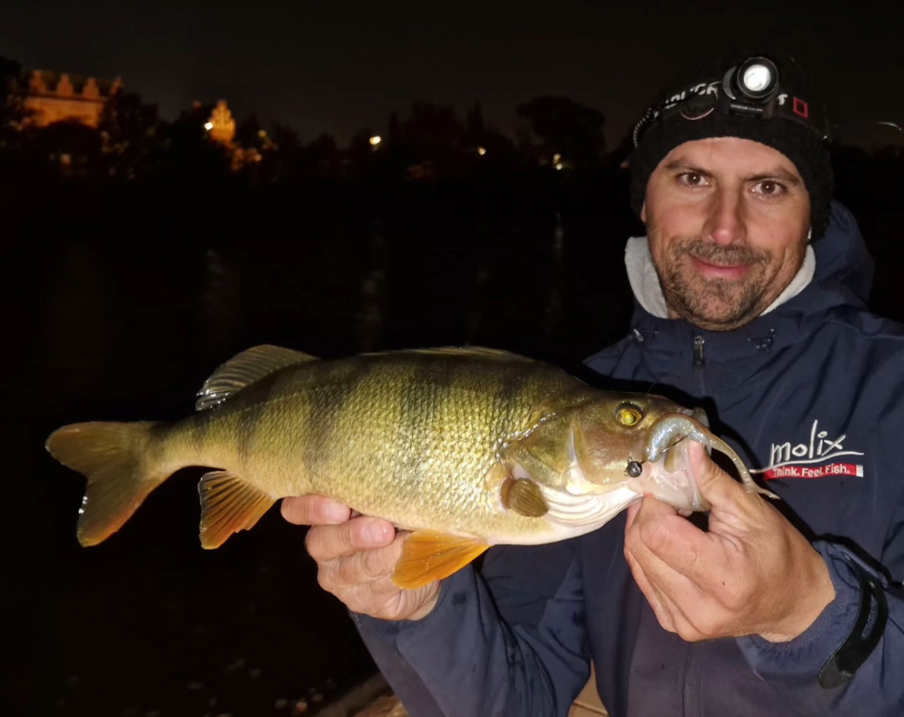 Molix RT Shad 4.5' (11,4cm)